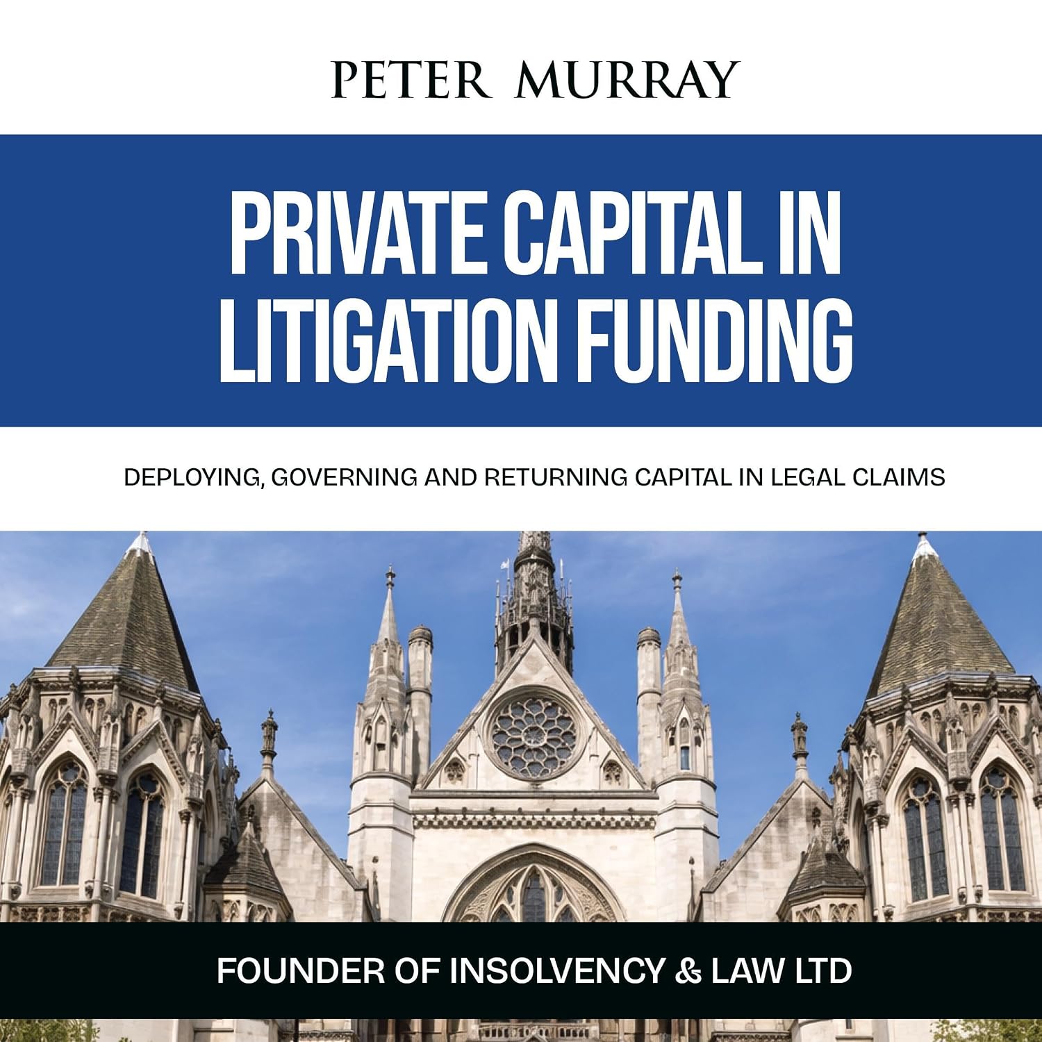 Private Capital in Litigation Funding: Deploying, Governing and Returning Capital in Legal Claims baixar livro de graça