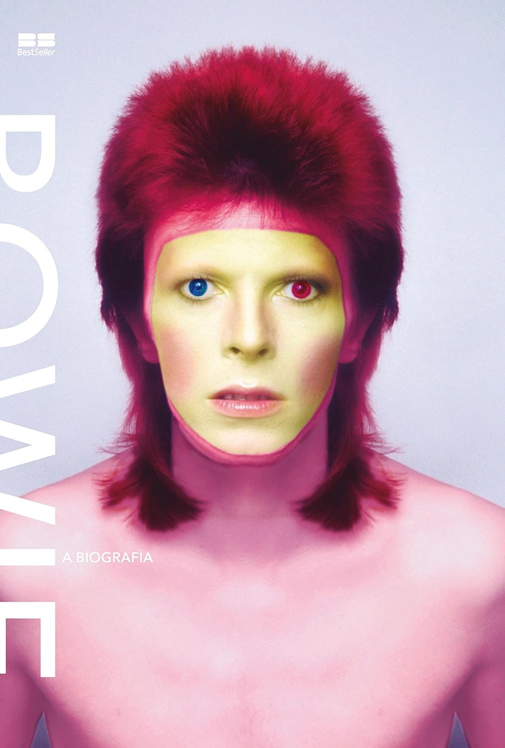 Bowie baixar livro de graça