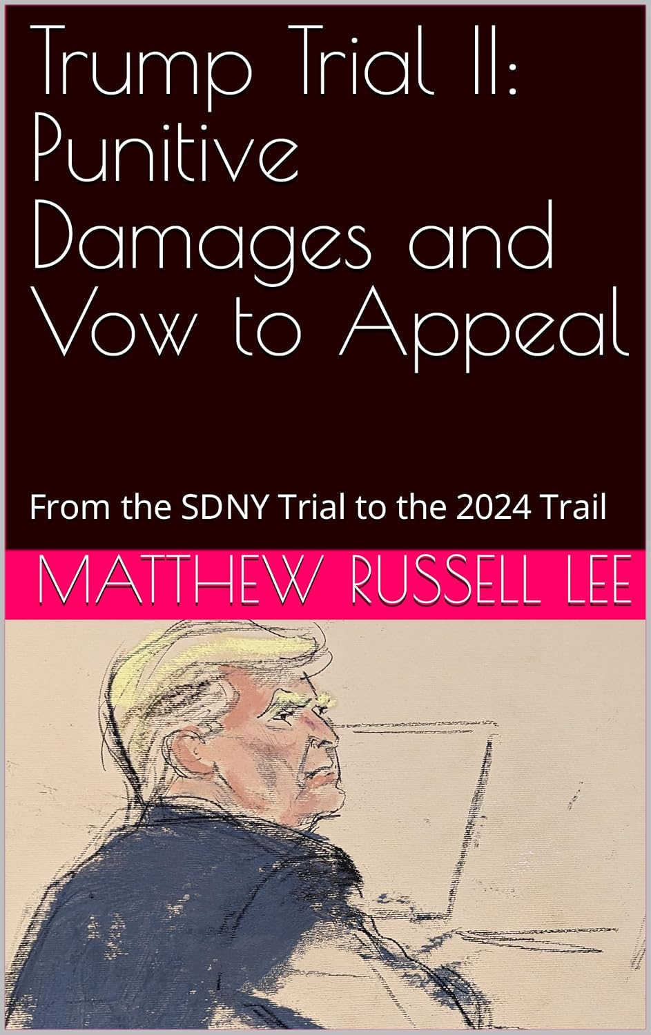 Trump Trial II: Punitive Damages and Vow to Appeal: From the SDNY Trial to the 2024 Trail (English Edition) baixar livro de graça