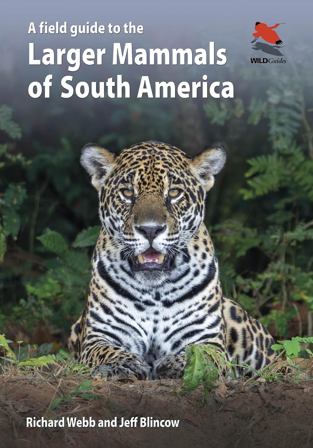 ler totalmente A Field Guide to the Larger Mammals of South America: 26