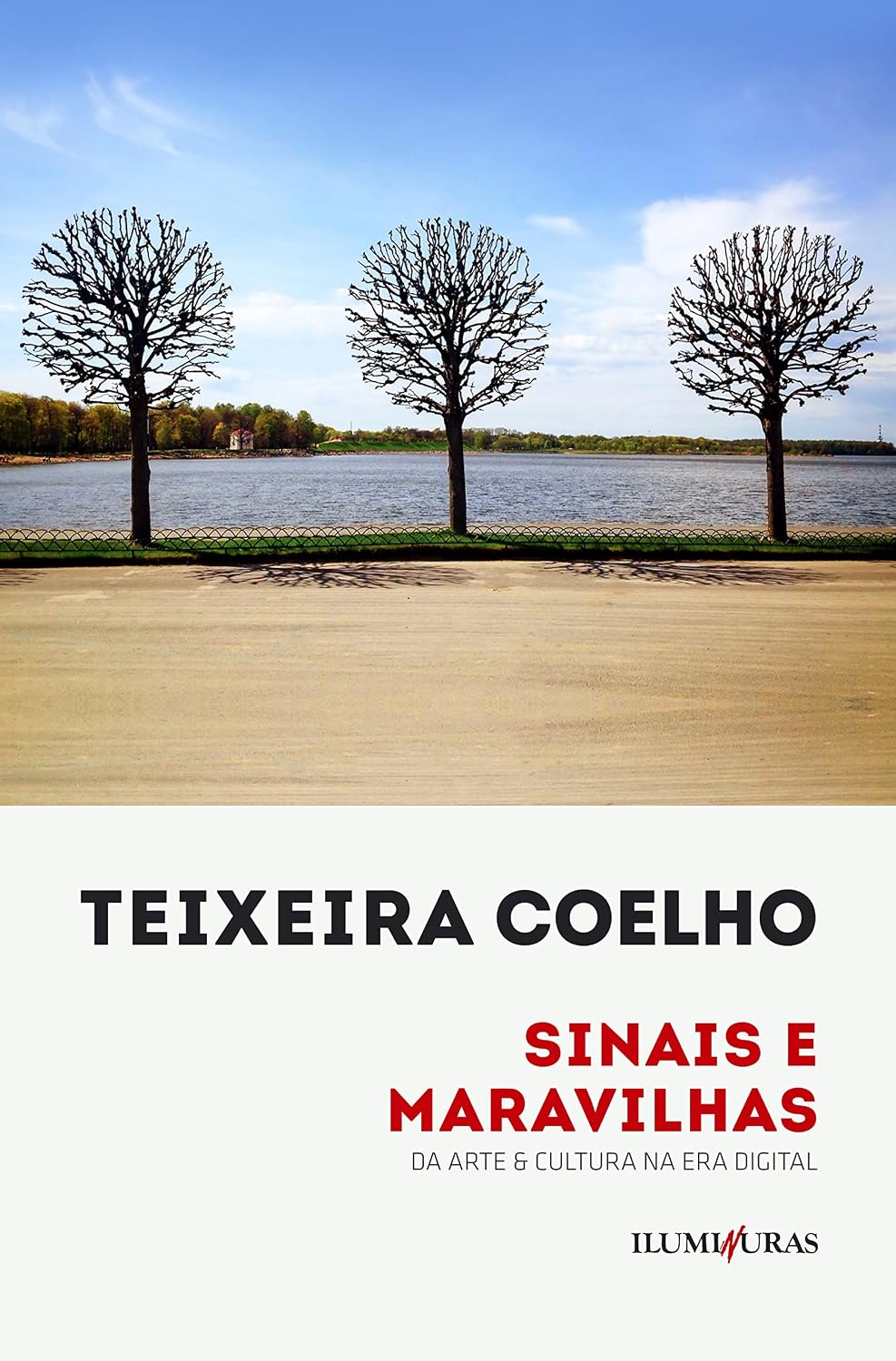 Sinais e maravilhas: da arte & cultura na era digital