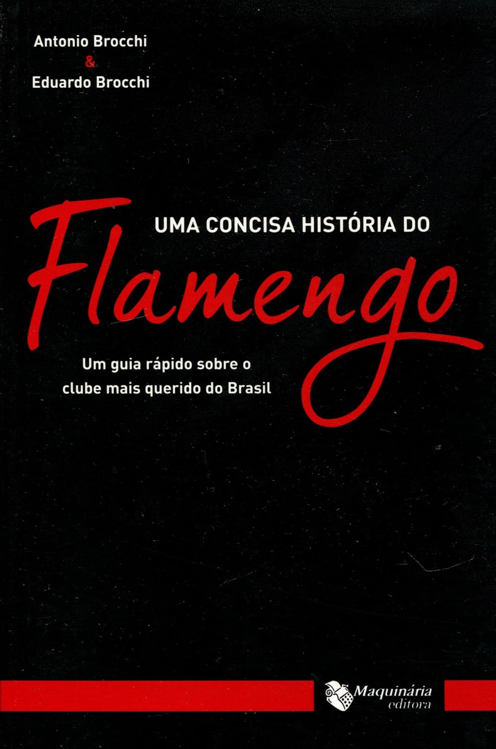 ler totalmente Uma Concisa História do Flamengo