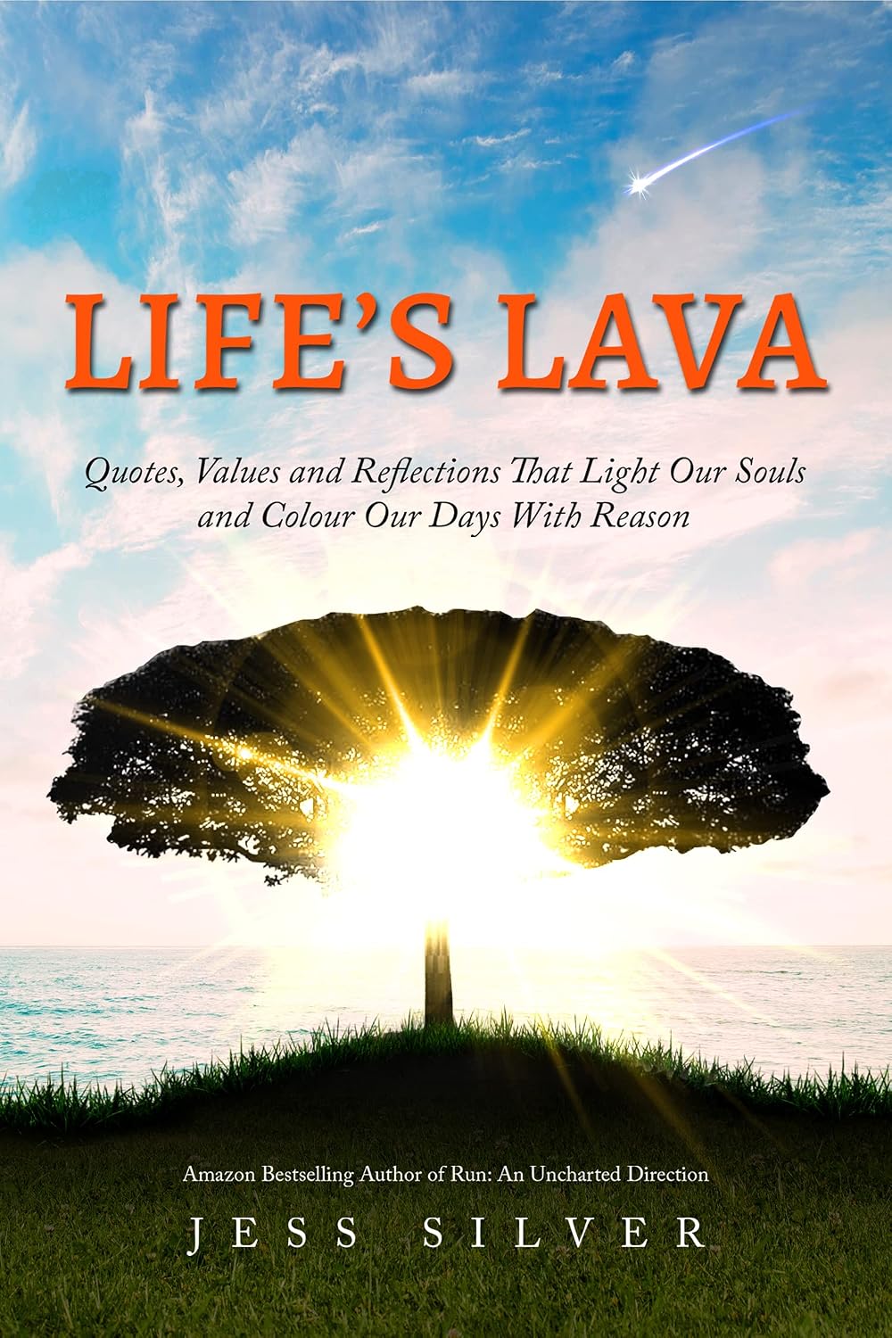 Life’s Lava: Quotes, Values and Reflections That Light Our Souls & Colour Our Days With Reason (English Edition) baixar livro de graça