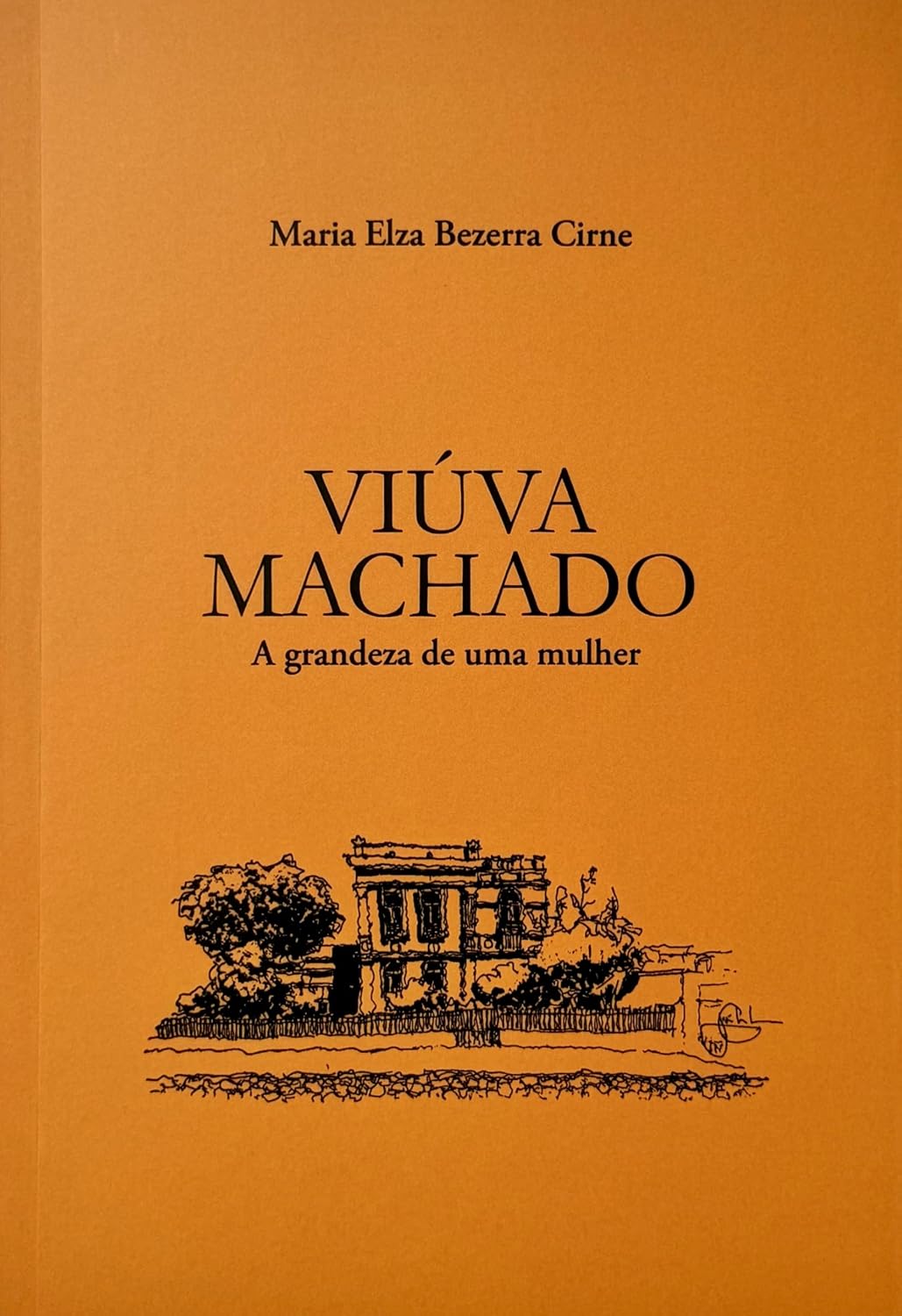 capítulo por capítulo baixar Viúva Machado: a grandeza de uma mulher