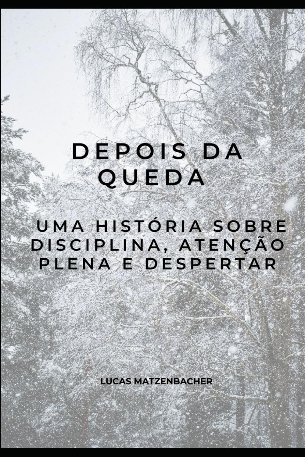 capítulo por capítulo baixar Depois da Queda: Uma História Sobre Disciplina, Atenção Plena e Despertar (Portuguese Edition)