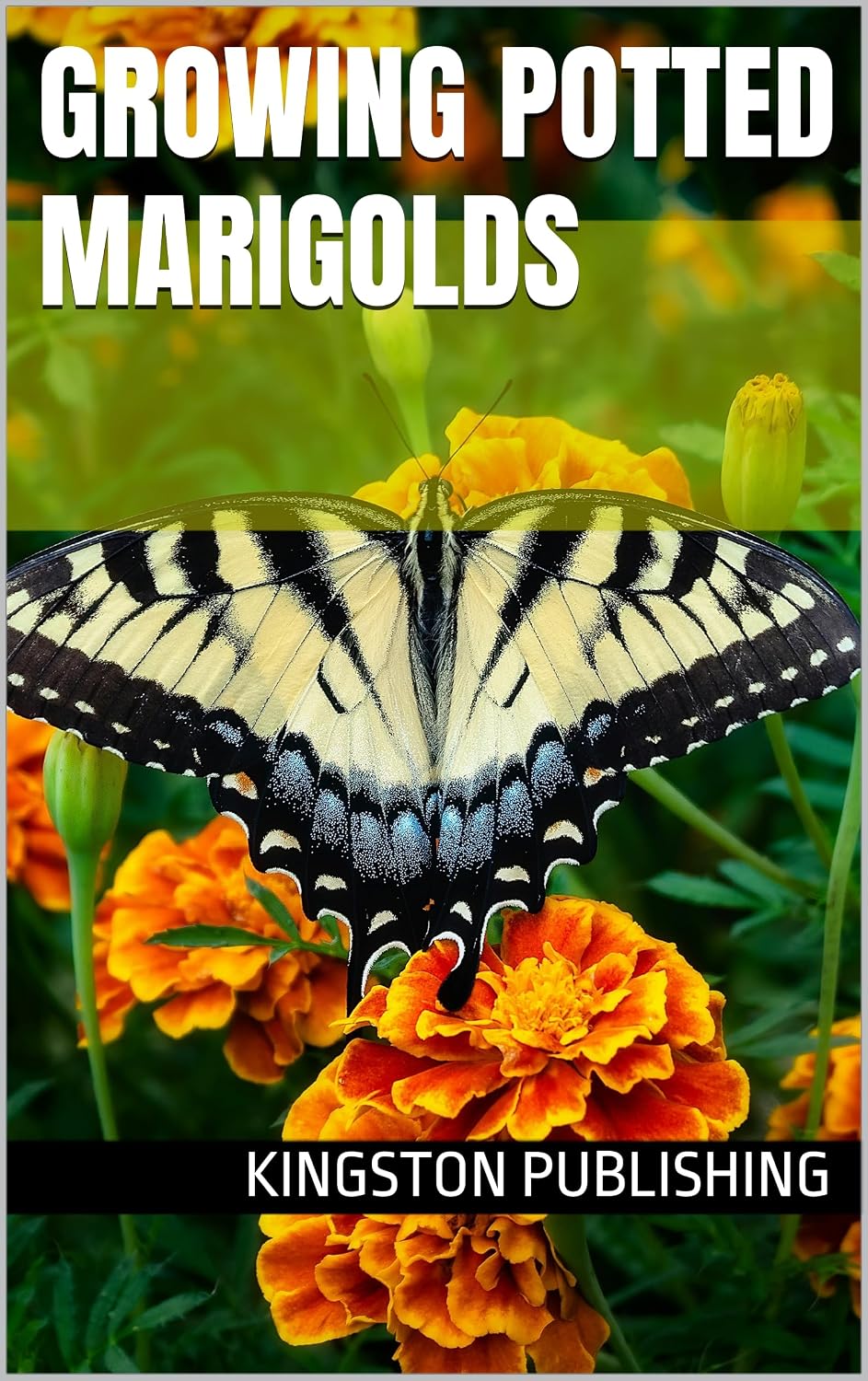 capítulo por capítulo baixar Growing Potted Marigolds (Transformative Gardens) (English Edition)