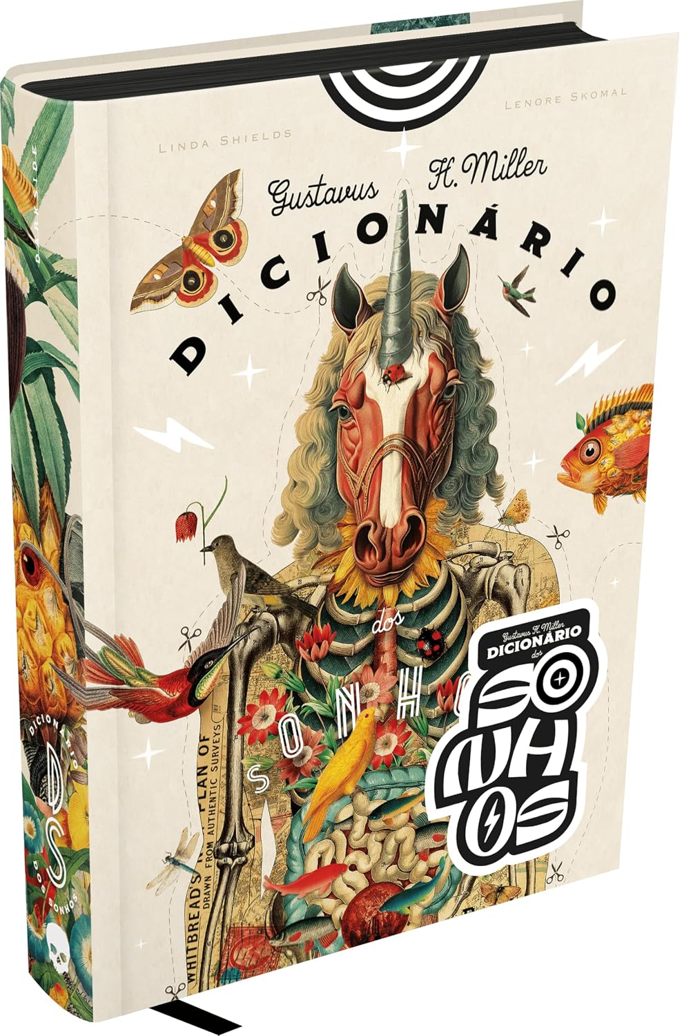 Dicionário dos Sonhos baixar o livro de graça