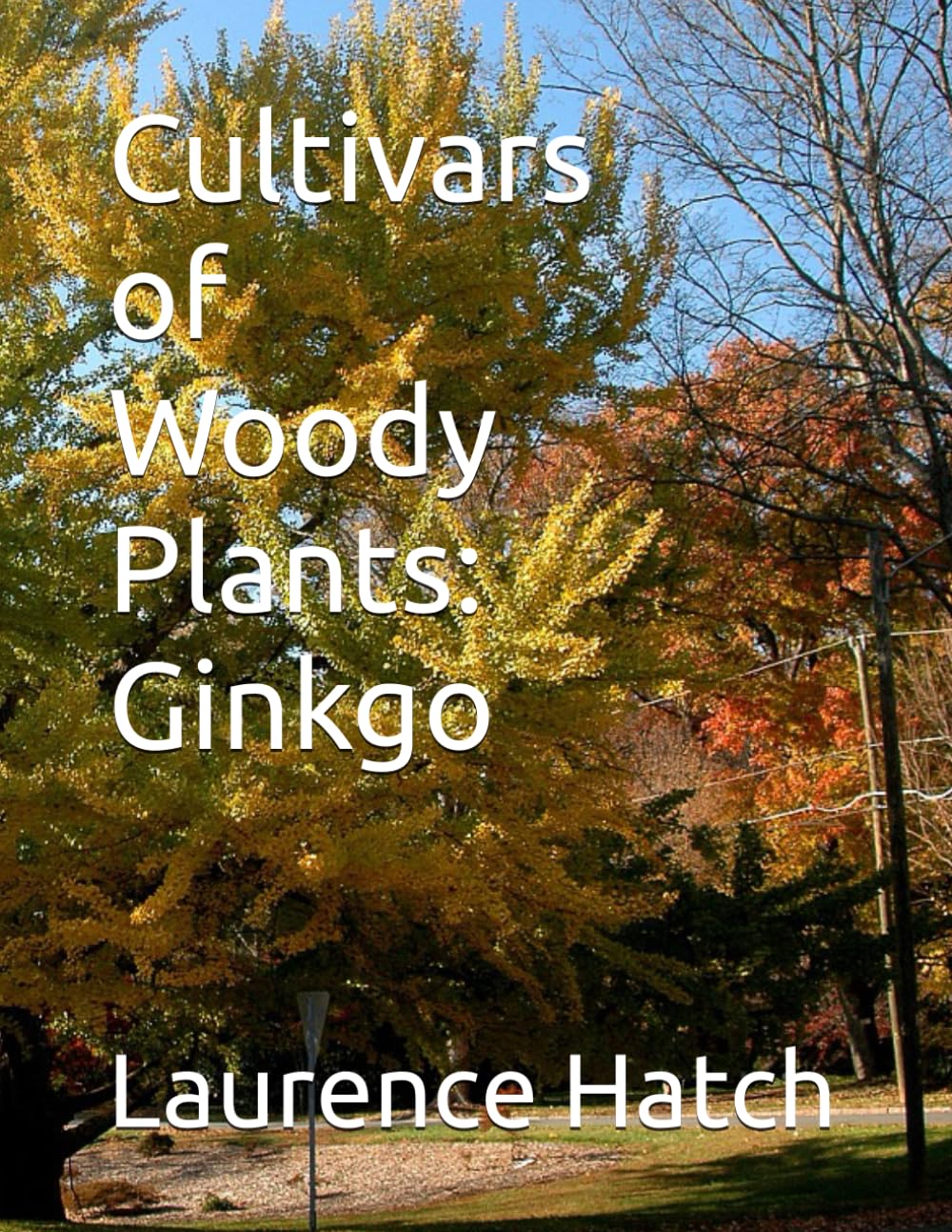 Cultivars of Woody Plants: Ginkgo II