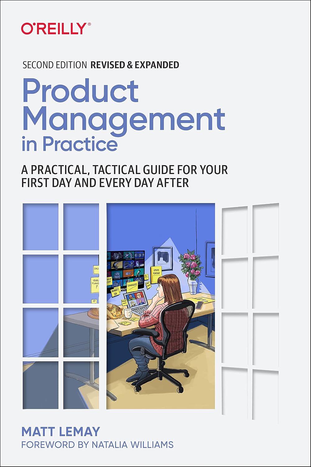 capítulo por capítulo baixar Product Management in Practice: A Practical, Tactical Guide for Your First Day and Every Day After