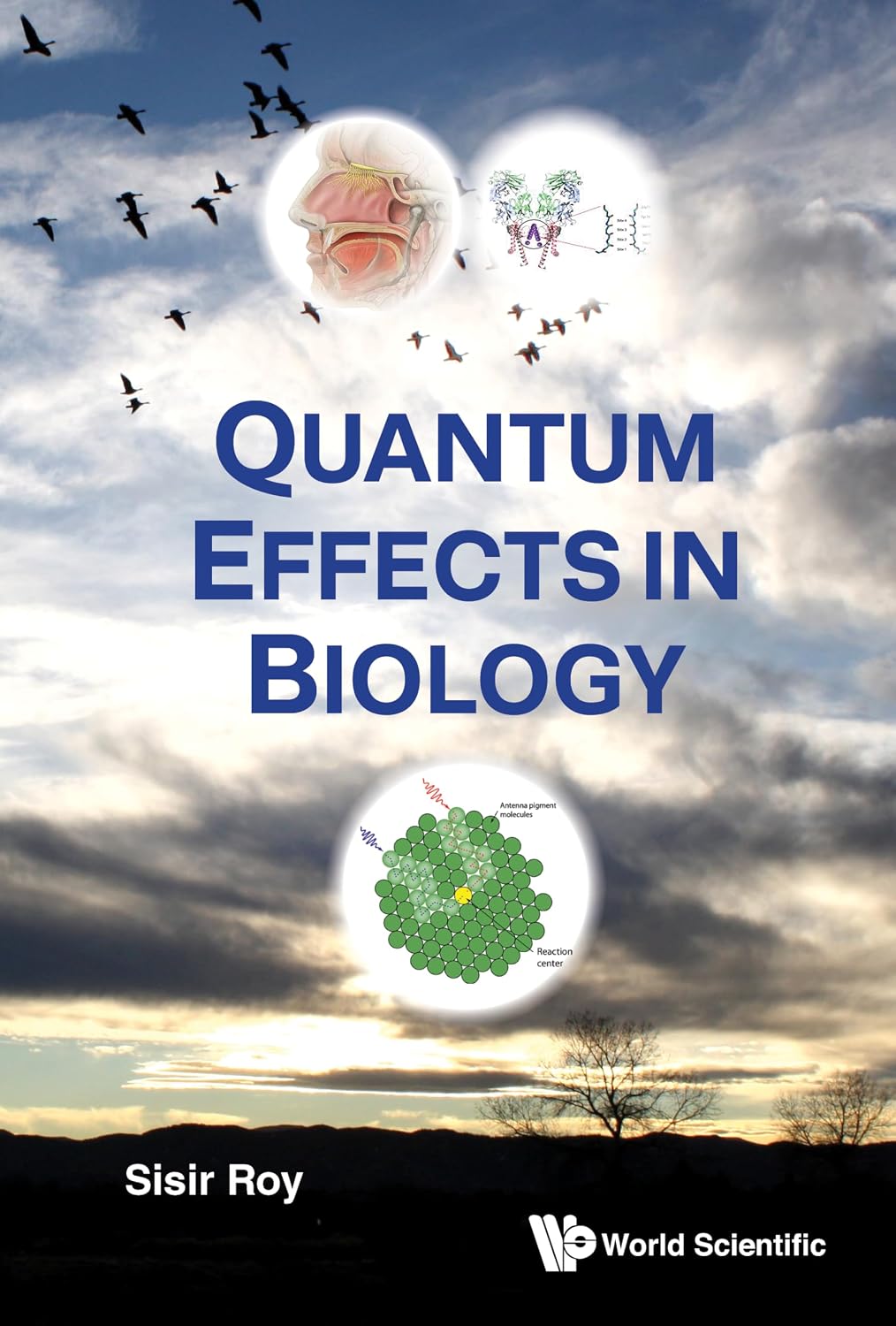 Quantum Effects in Biology (English Edition) baixar livro de graça