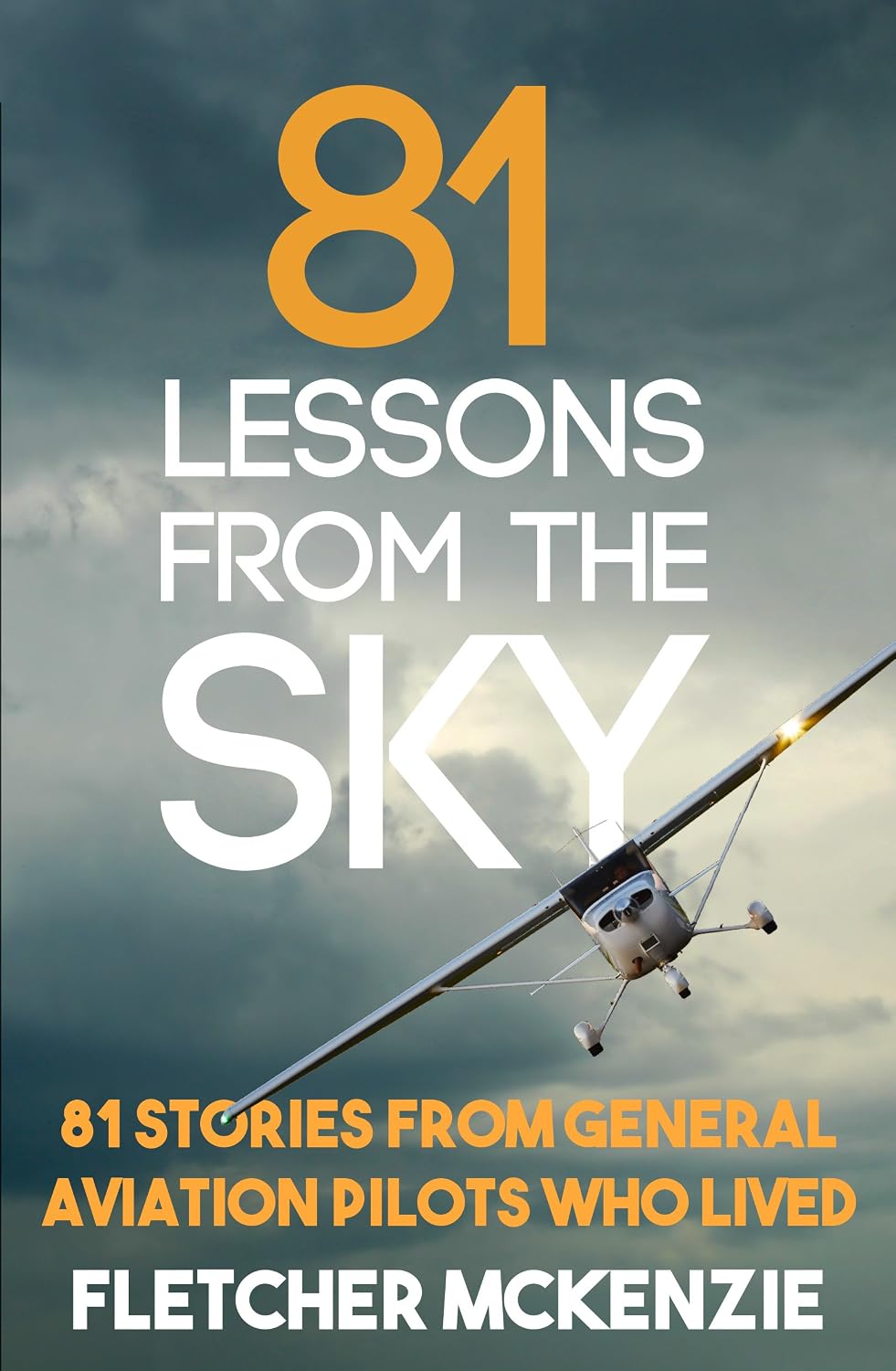 81 Lessons From The Sky: General Aviation (English Edition) baixar o livro de graça