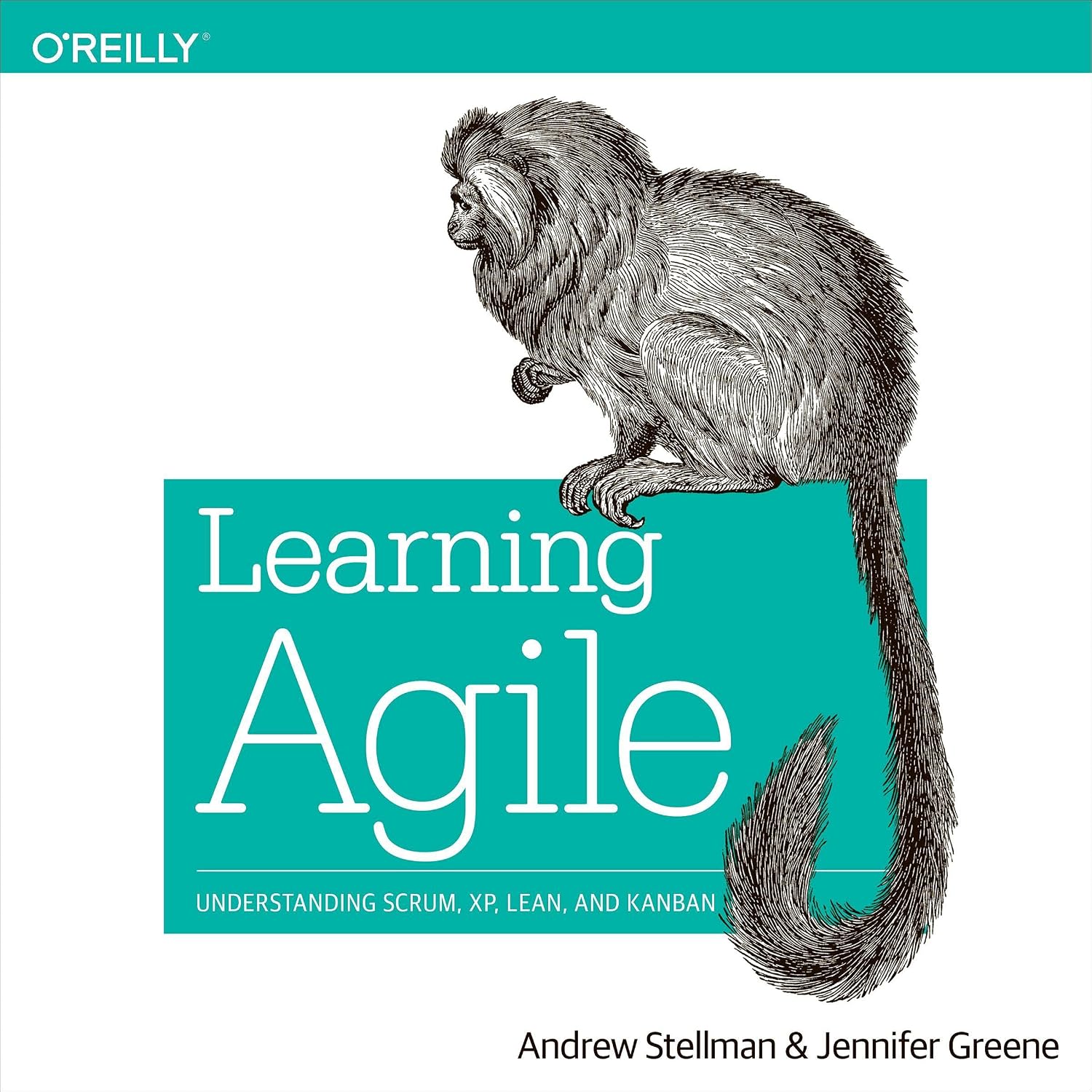 ler totalmente Learning Agile: Understanding Scrum, XP, Lean, and Kanban