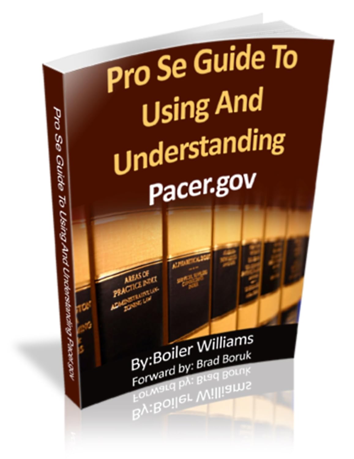 Pro Se Guide To Using And Understanding Pacer.gov (English Edition) baixar livro de graça