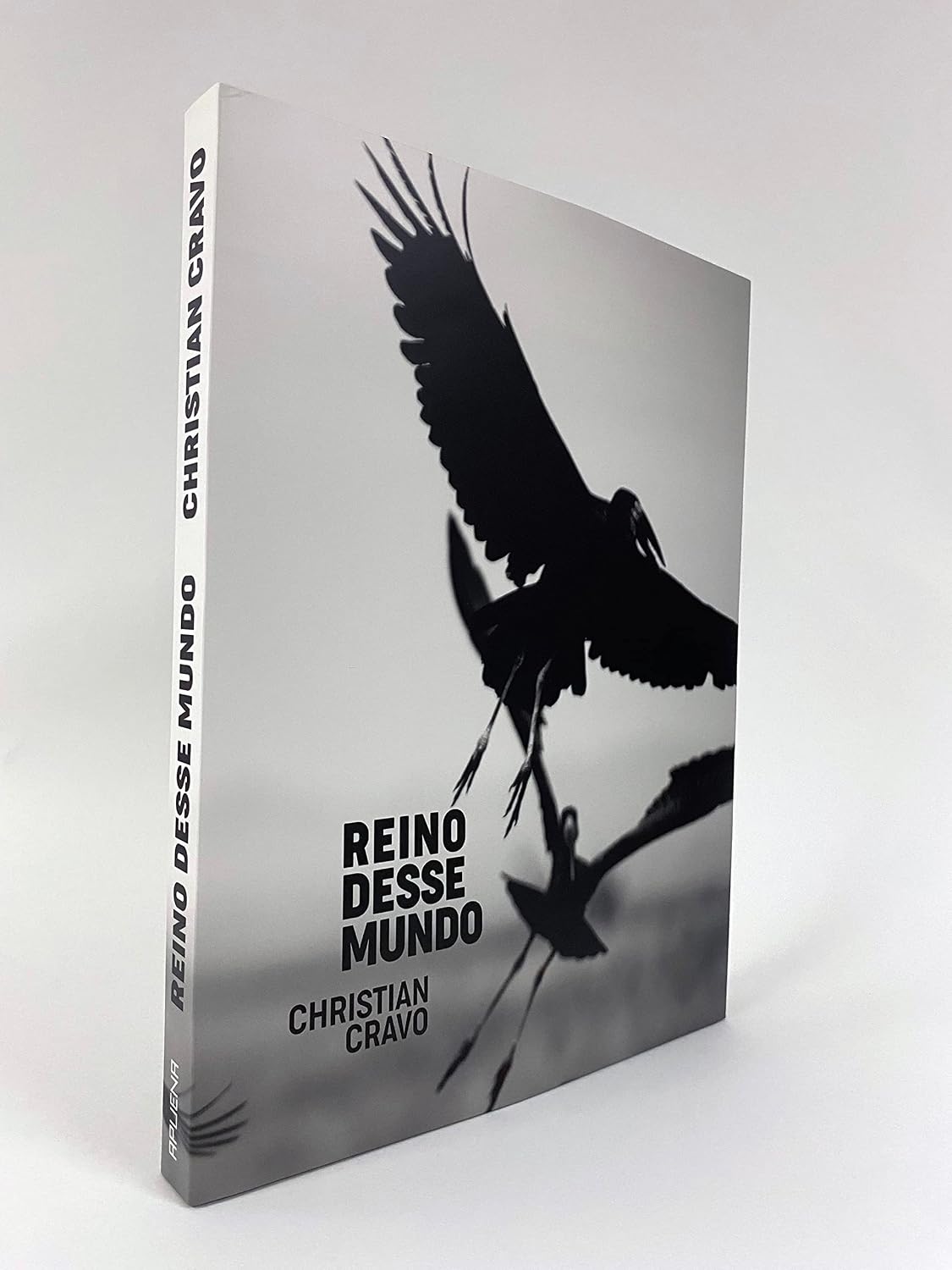 REINO DESSE MUNDO baixar livro de graça