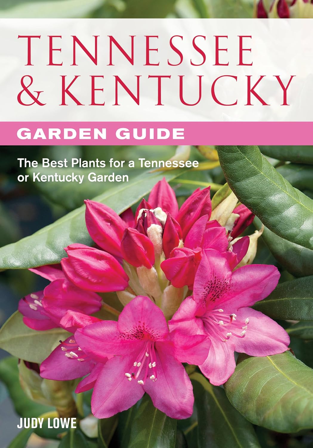 Tennessee & Kentucky Garden Guide: The Best Plants for a Tennessee or Kentucky Garden baixar o livro de graça
