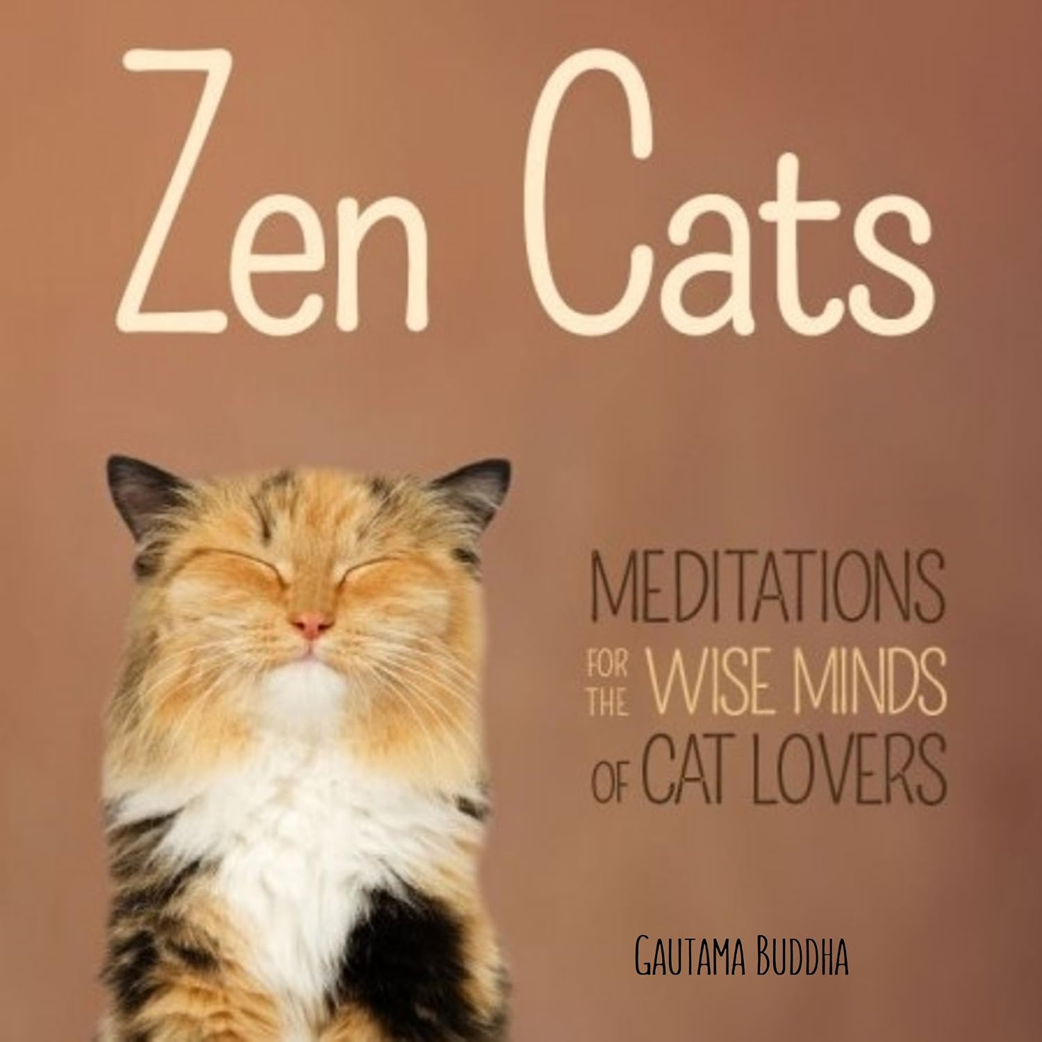Zen Cats: Meditations for the Wise Minds of Cat Lovers baixar o livro de graça