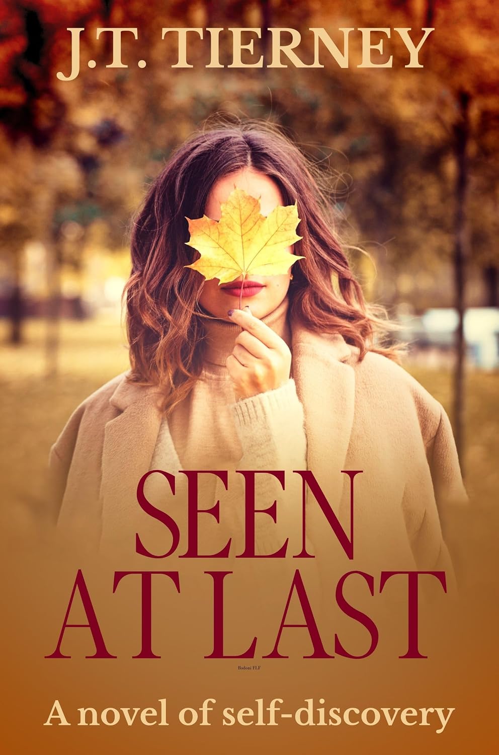 Seen At Last (English Edition) baixar livro de graça