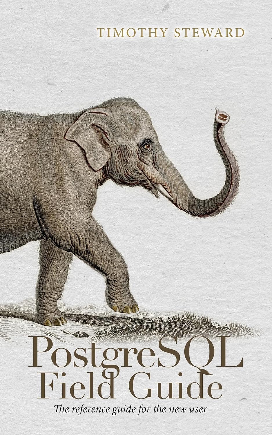 PostgreSQL Field Guide: The reference guide for the new user (English Edition)