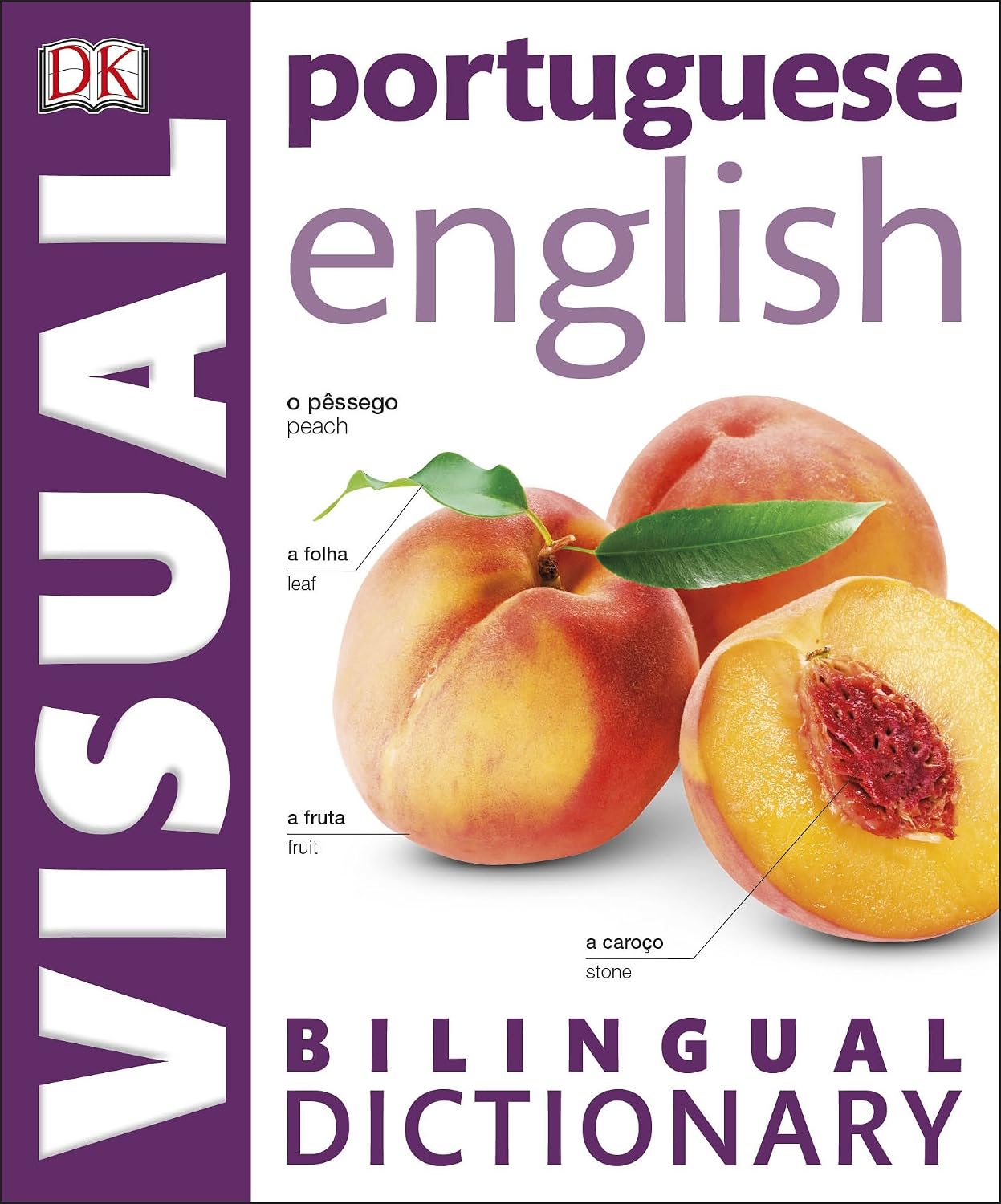Portuguese English Bilingual Visual Dictionary baixar livro de graça