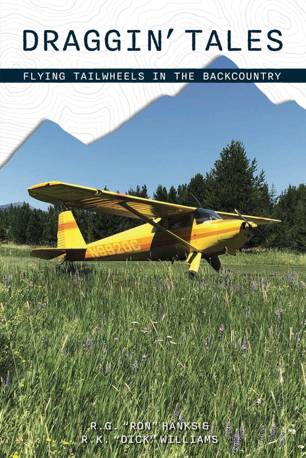 Draggin' Tales: Flying Tailwheels in the Backcountry baixar o livro de graça