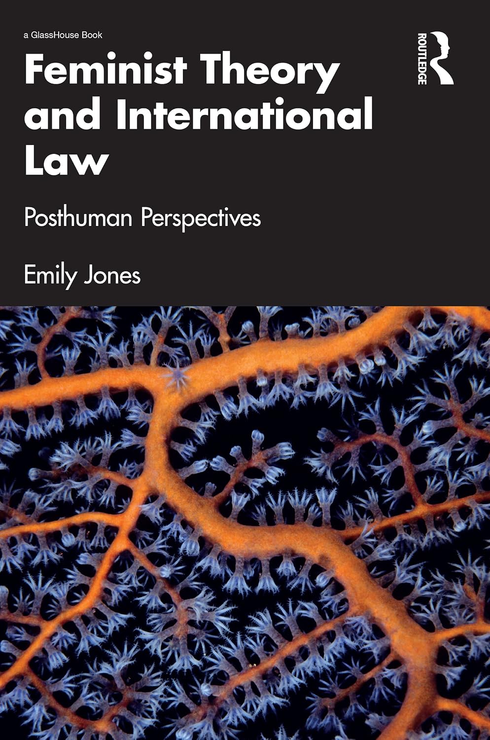 ler totalmente Feminist Theory and International Law: Posthuman Perspectives (English Edition)