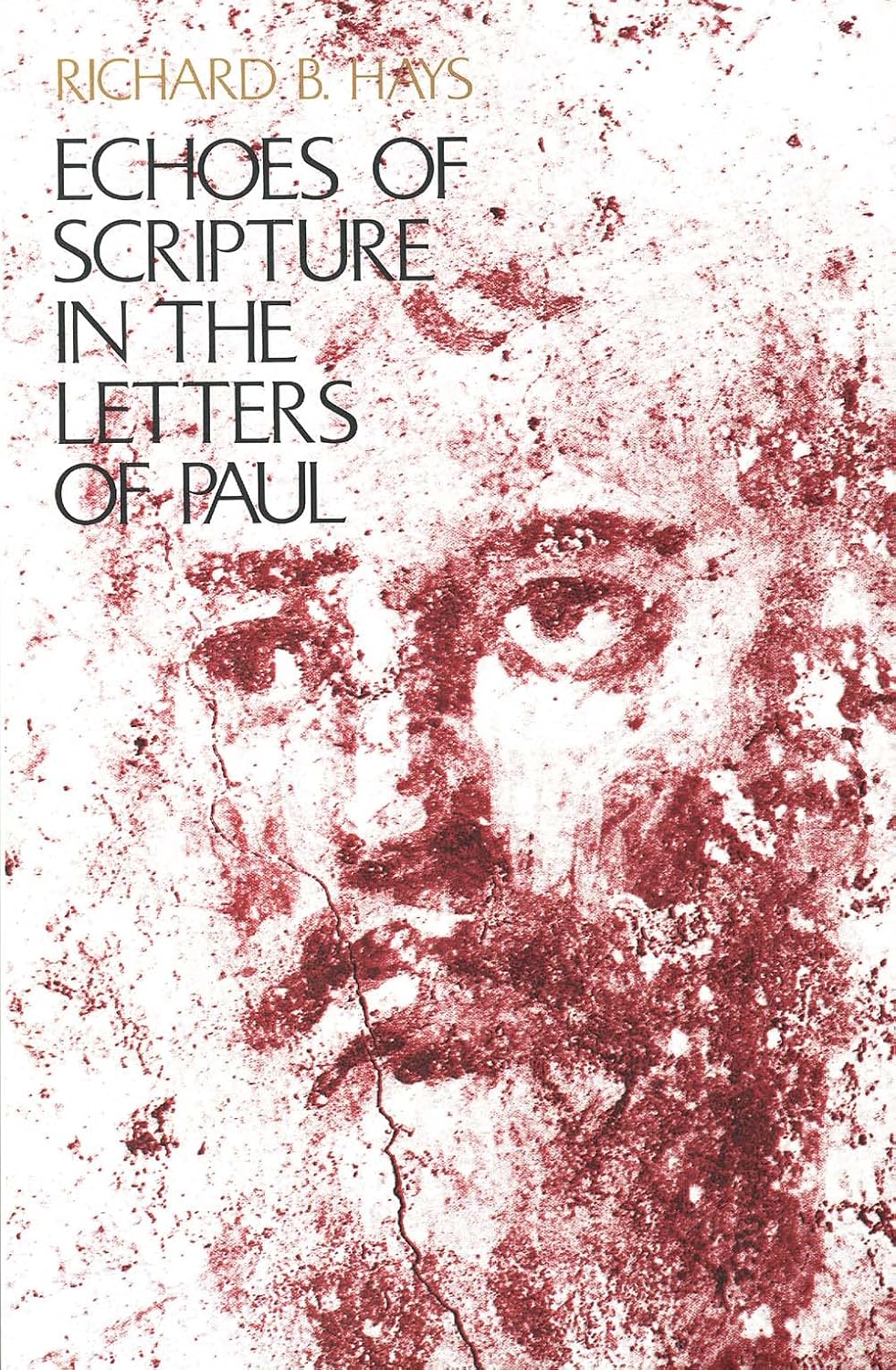 ler totalmente Echoes of Scripture in the Letters of Paul