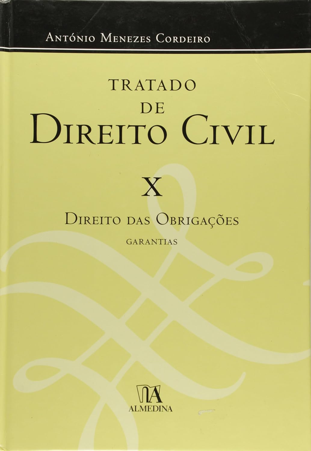 Tratado de Direito Civil: Direito das Obrigações - Garantias (Volume 10) baixar o livro de graça