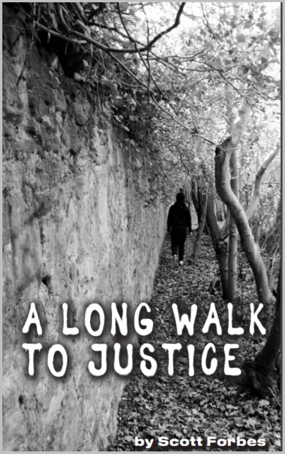 A Long Walk to Justice (English Edition) baixar livro de graça