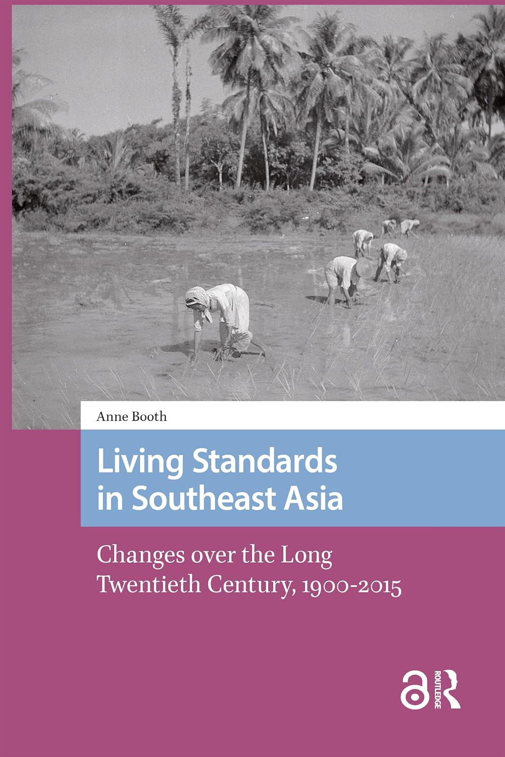 Living Standards in Southeast Asia: Changes over the Long Twentieth Century, 1900-2015 (Transforming Asia) (English Edition) baixar o livro de graça