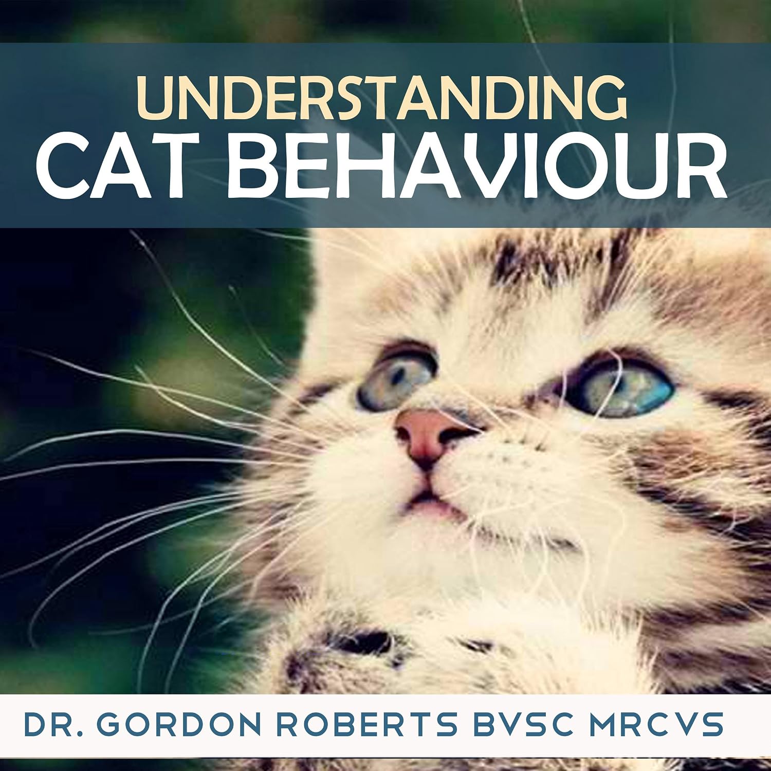 capítulo por capítulo baixar Understanding Cat Behaviour