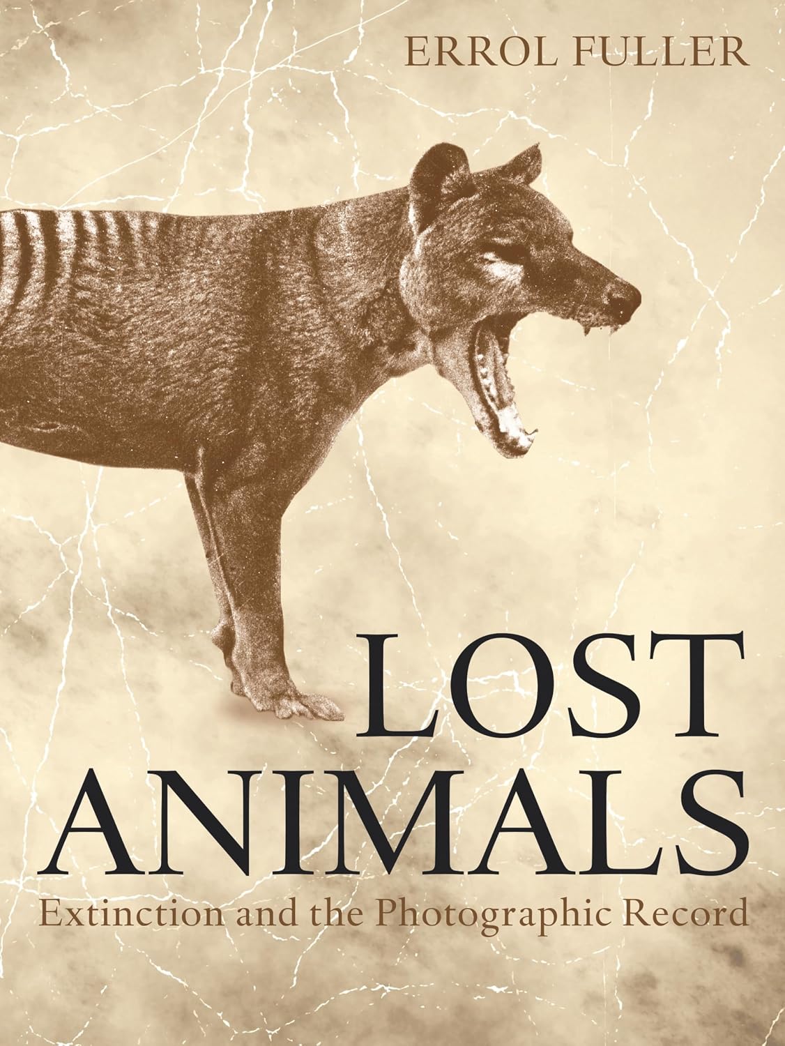 Lost Animals: Extinction and the Photographic Record baixar o livro de graça