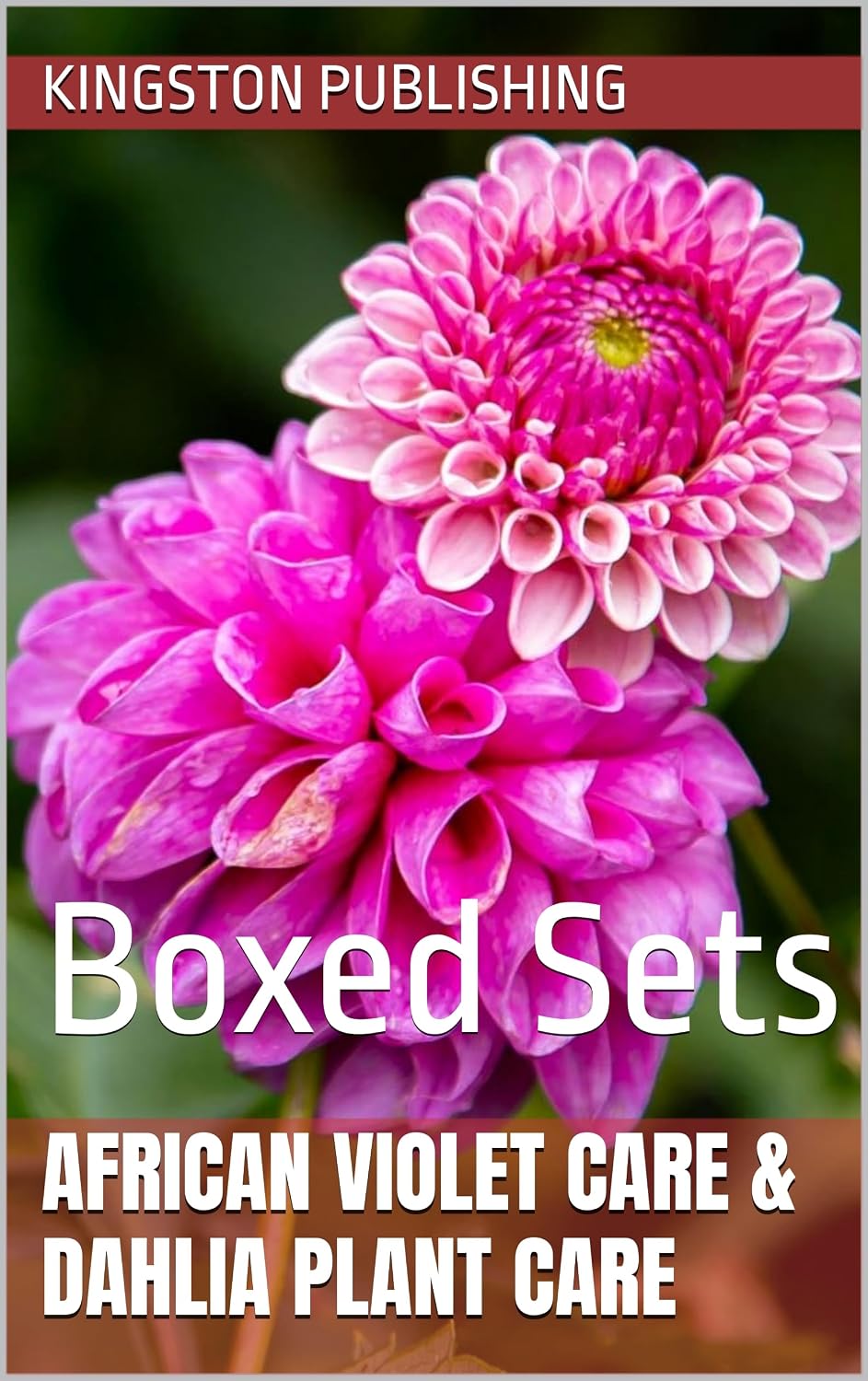 African Violet Care & Stunning Dahlia Plant Care: Boxed Sets (Relaxing Gardens) (English Edition) baixar o livro de graça