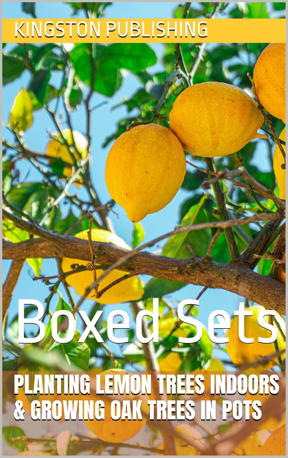 capítulo por capítulo baixar Planting Lemon Trees Indoors & Growing Oak Trees in Pots: Boxed Sets (Small-Space Gardening) (English Edition)