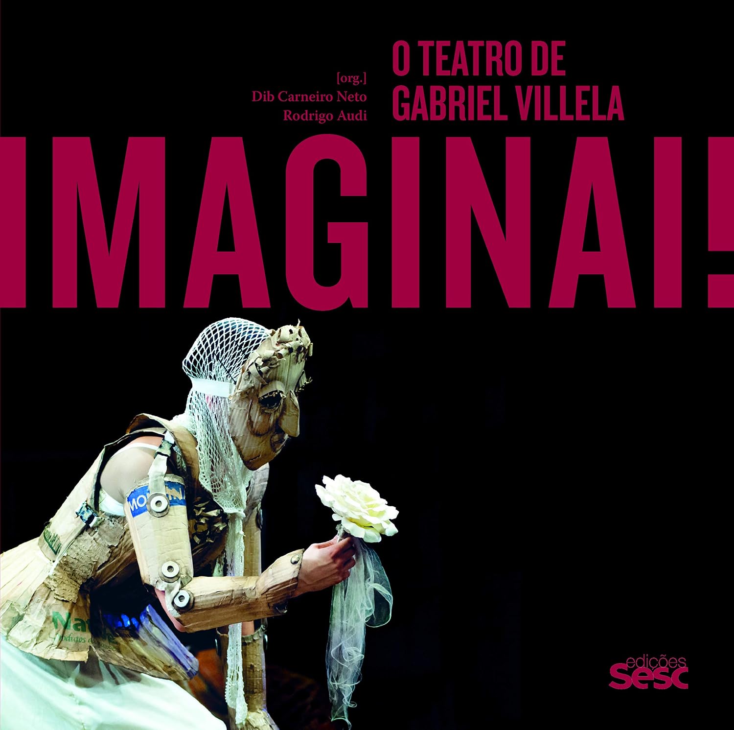 Imaginai: O teatro de Gabriel Villela baixar livro de graça