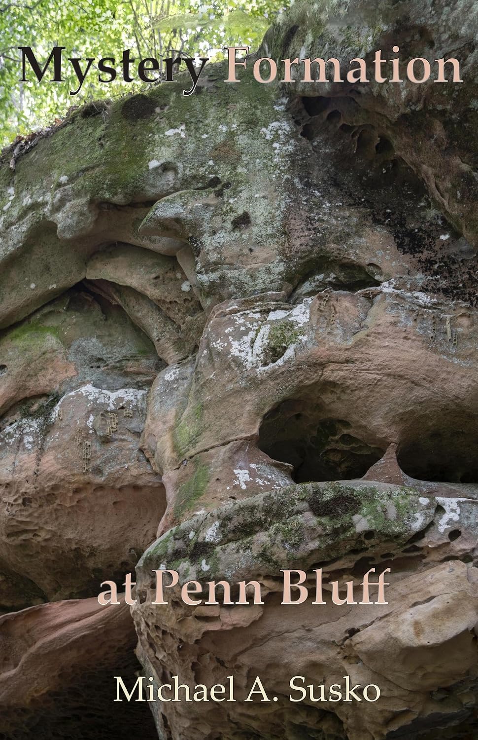 ler totalmente Mystery Formation at Penn Bluff: Resonance with Eastern Woodland Cosmology (Mystery Stone Formation Book 3) (English Edition)
