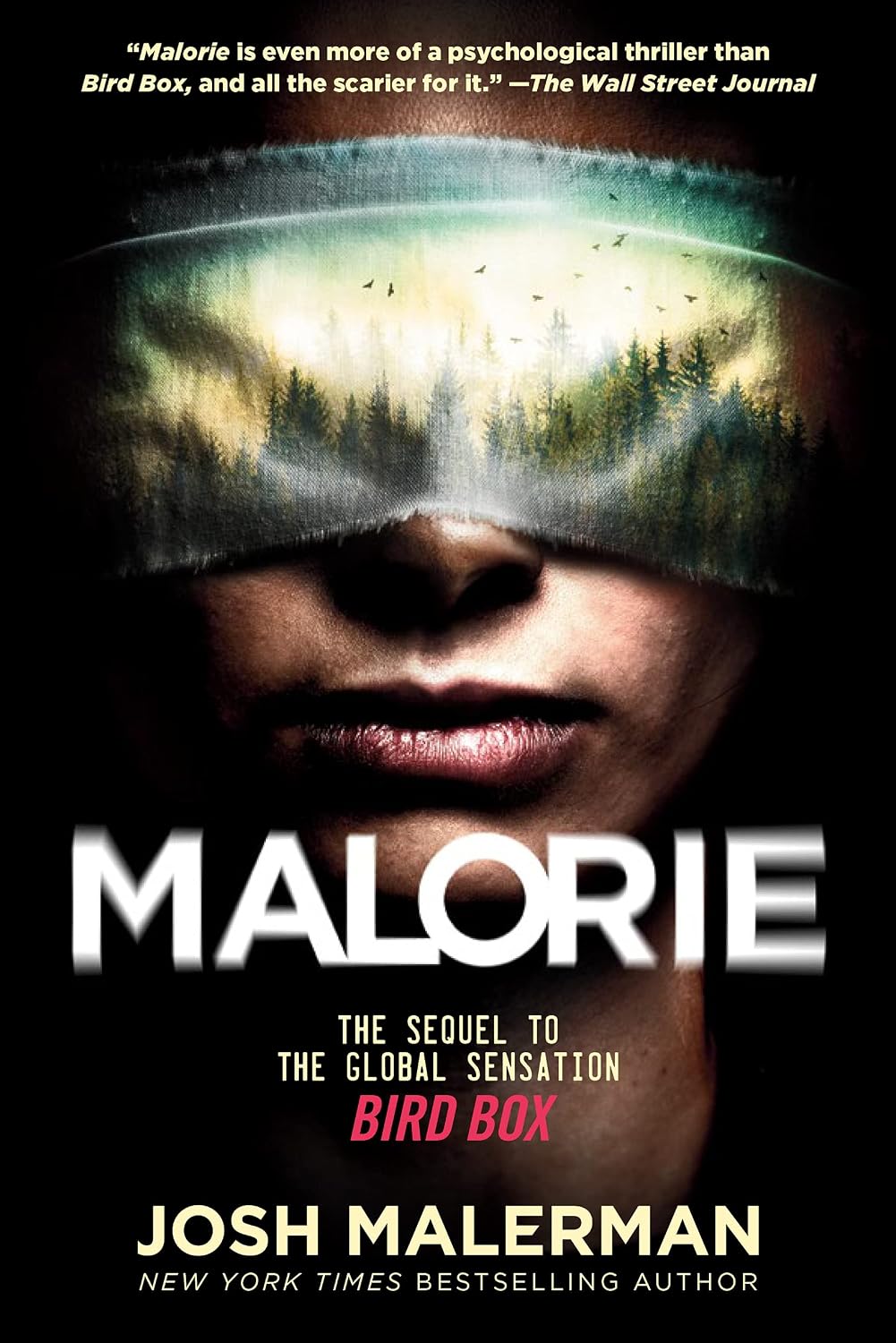 ler totalmente Malorie: A Bird Box Novel (English Edition)