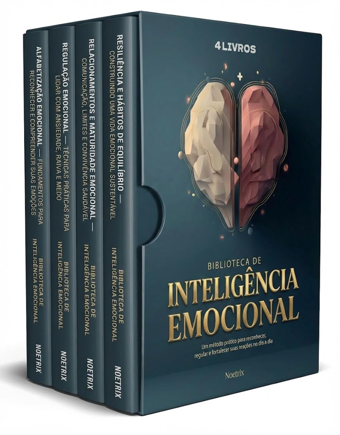 Biblioteca de Inteligência Emocional - 4 Livros - Guia prático para ansiedade, raiva e estresse com exercícios de autocontrole: Estratégias para reduzir estresse com práticas curtas e objetivas baixar o livro de graça
