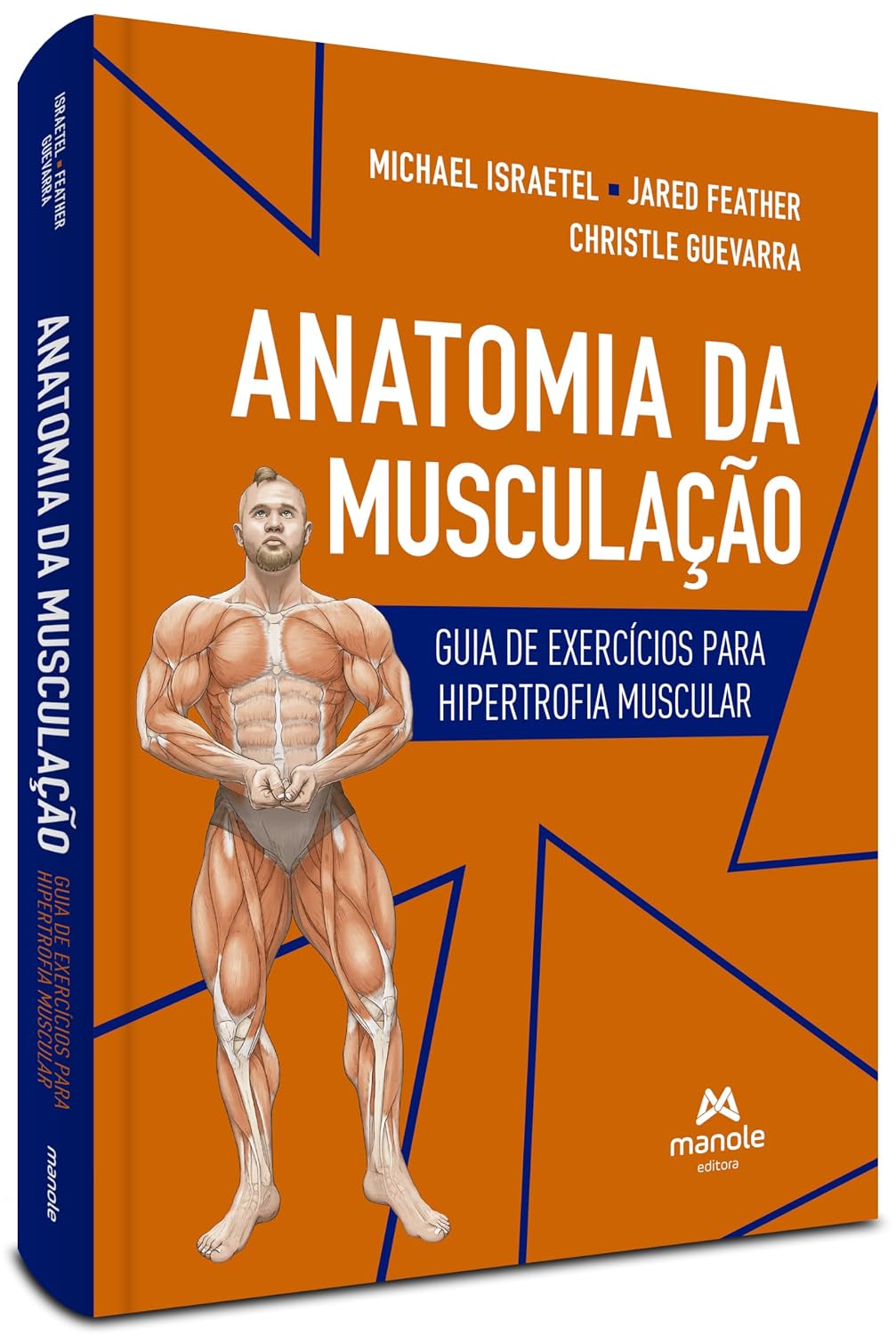 Anatomia da musculação: Guia de exercícios para hipertrofia muscular baixar livro de graça