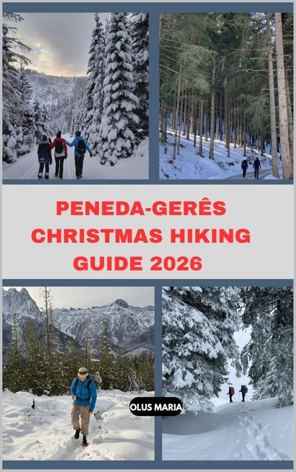 PENEDA-GERÊS CHRISTMAS HIKING GUIDE 2026 (English Edition) baixar o livro de graça