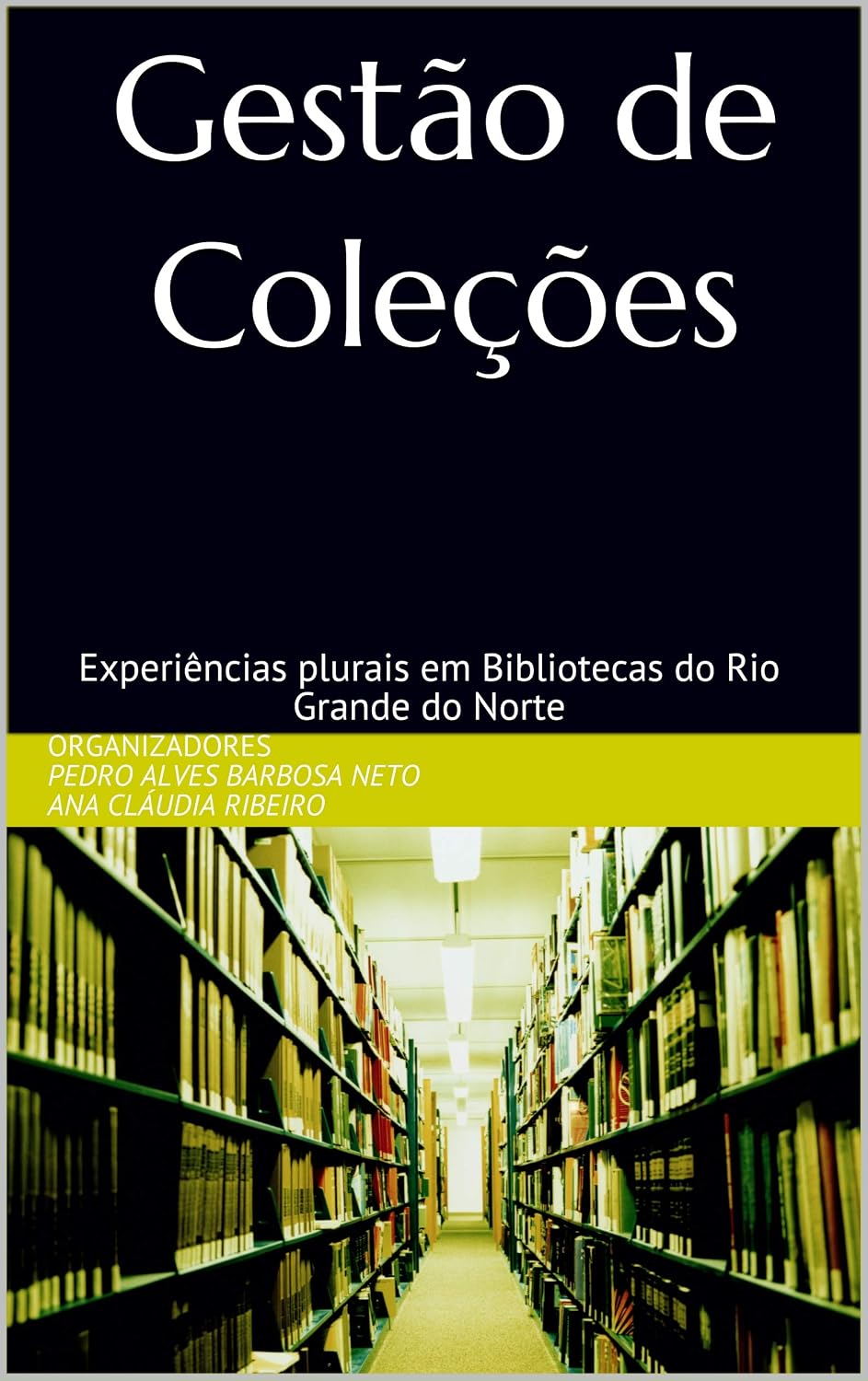 Gestão de Coleções: Experiências plurais em Bibliotecas do Rio Grande do Norte baixar livro de graça