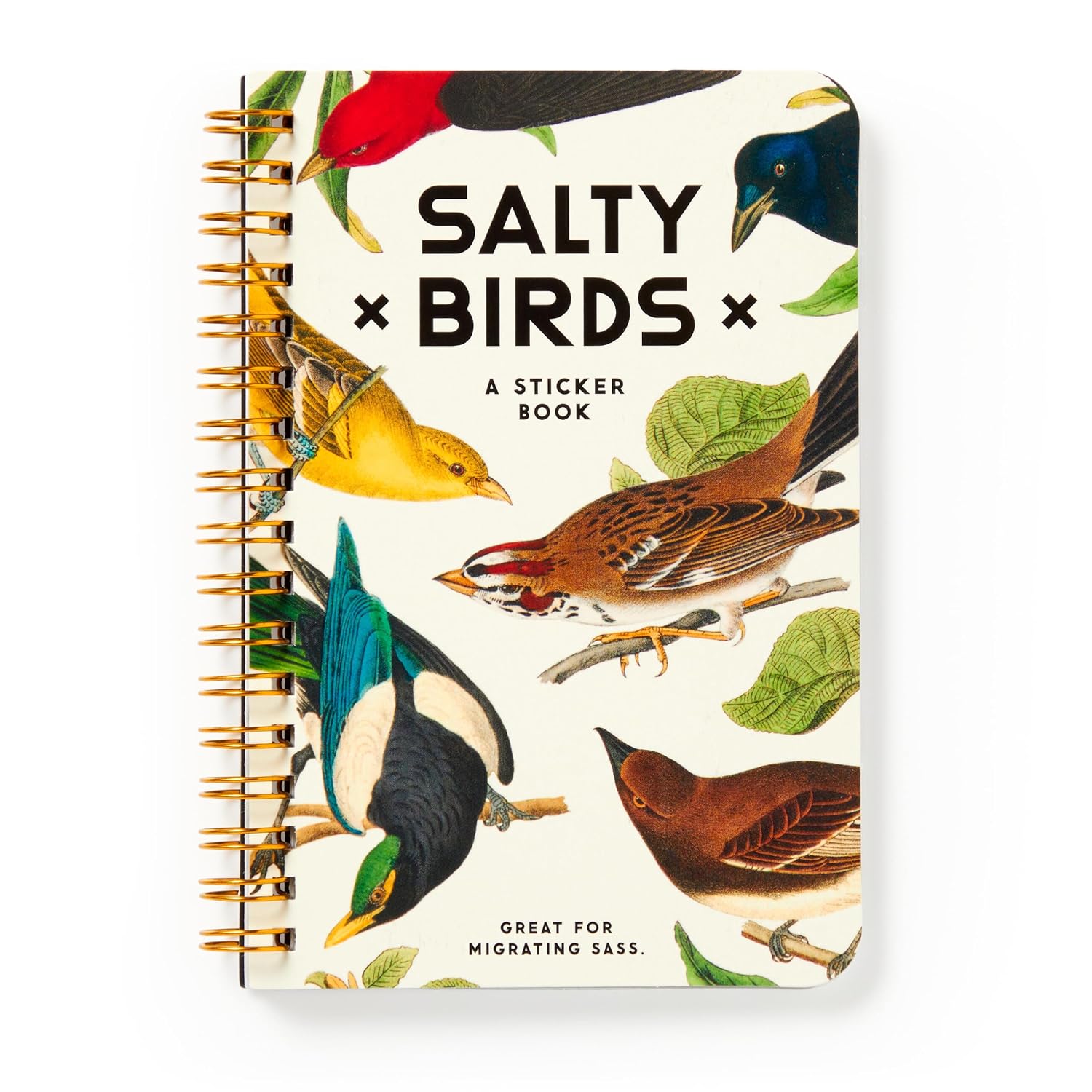 Salty Birds Sticker Book baixar livro de graça