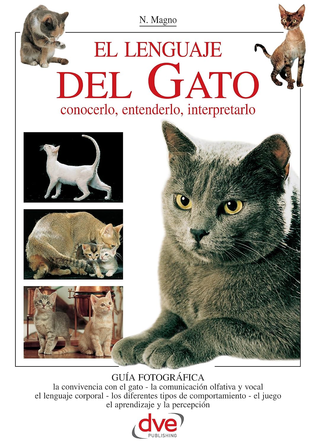ler totalmente El lenguaje del gato (Spanish Edition)