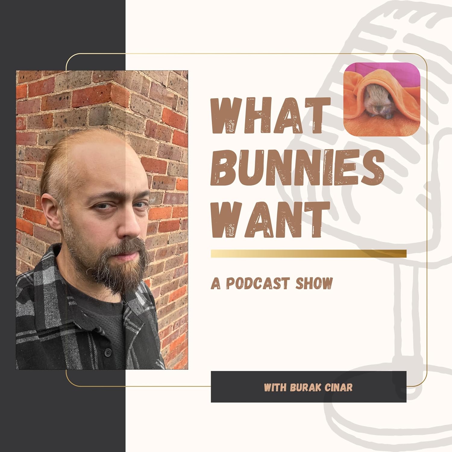 What Bunnies Want with Burak Cinar (English Edition) baixar livro de graça