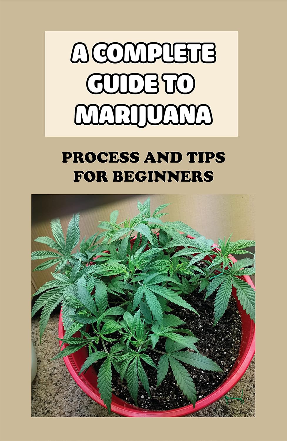 A Complete Guide To Marijuana: Process And Tips For Beginners: Cannabis Growth Timeline (English Edition) baixar livro de graça