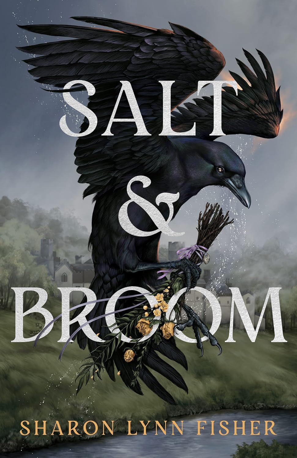 Salt & Broom (English Edition)