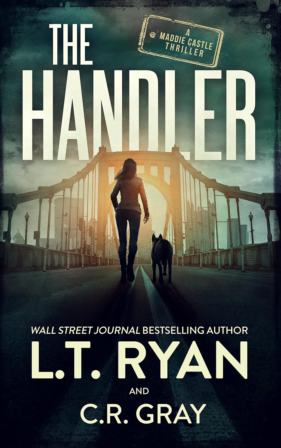 The Handler: A Mystery Thriller (Maddie Castle Thrillers Book 1) (English Edition) baixar livro de graça