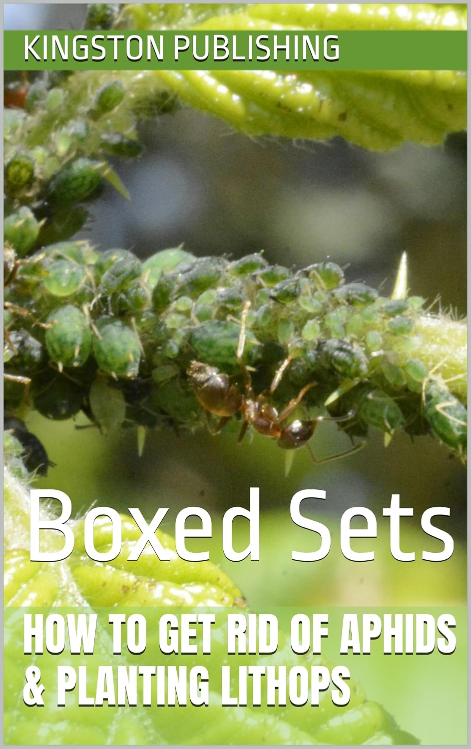 How to Get Rid of Aphids & Planting Lithops: Boxed Sets (Growing Fresh Flowers) (English Edition) baixar o livro de graça