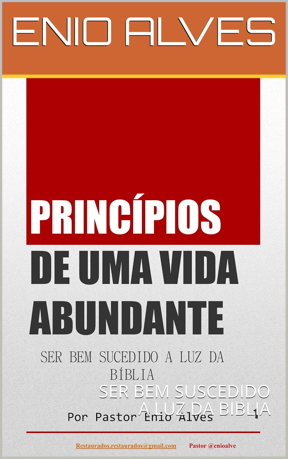 PRINCIPIOS DE UMA VIDA ABUNDANTE: SER BEM SUCEDIDO A LUZ DA BíBLIA baixar livro de graça