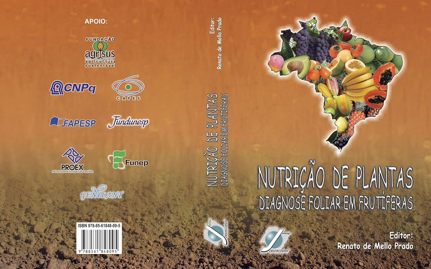 capítulo por capítulo baixar Nutrição e Adubação de Espécies Florestais e Palmeiras
