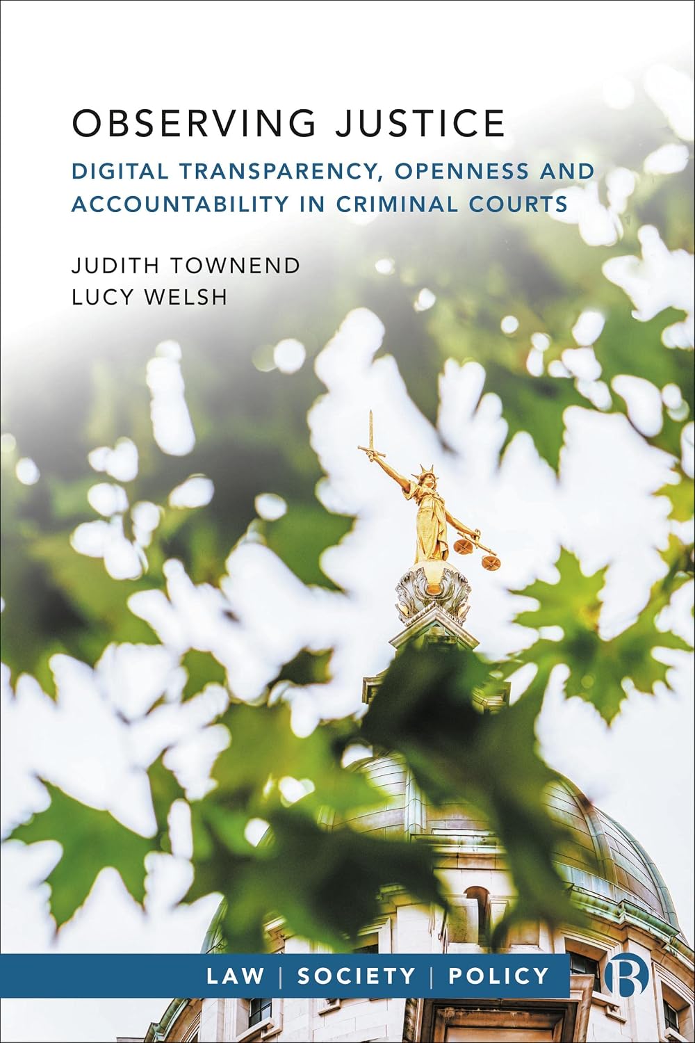 Observing Justice: Digital Transparency, Openness and Accountability in Criminal Courts (Law, Society, Policy) (English Edition) baixar o livro de graça